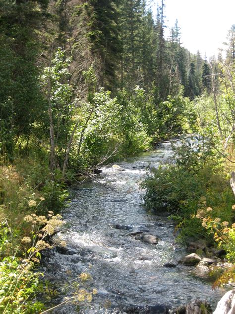 Greer, AZ | Favorite places, Outdoor, Places