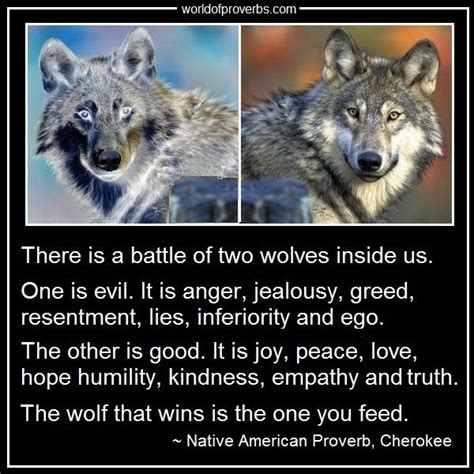 World Of Proverbs Famous Quotes There Is A Battle Of Two Wolves