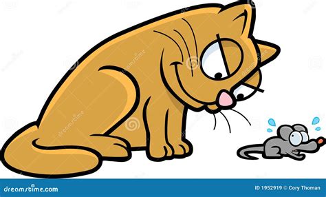 Cat And Mouse Royalty Free Stock Images Image 1952919