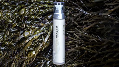 Spas Use Seaweed As Anti Aging Treatment For Skin Robb Report