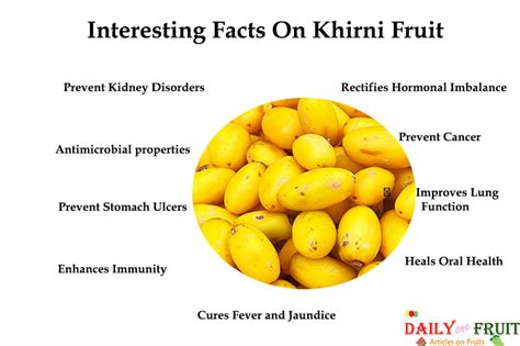 Interesting Health Facts On Khirni Fruit Dailyonefruit