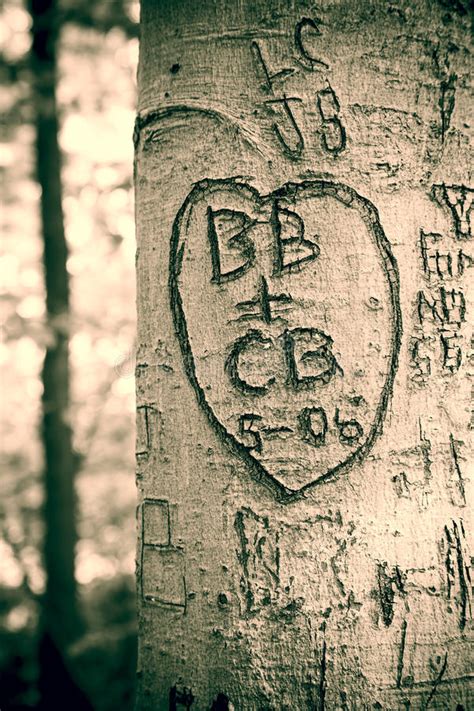 Bläddra bland 292 heart carved in tree bildbanksfoton och bilder, eller påbörja en ny sökning för att utforska fler bildbanksfoton och bilder. Love Tree stock photo. Image of graffiti, text, holiday ...