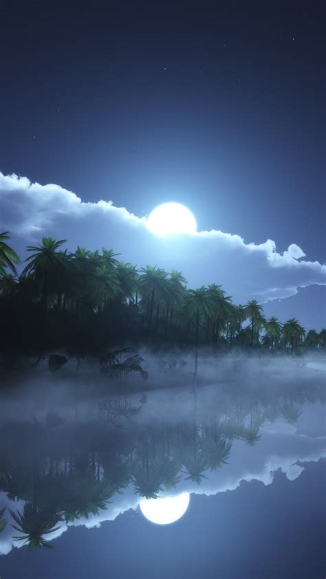 Wallpaper River 4k Hd Wallpaper Sea Palms Night Moon