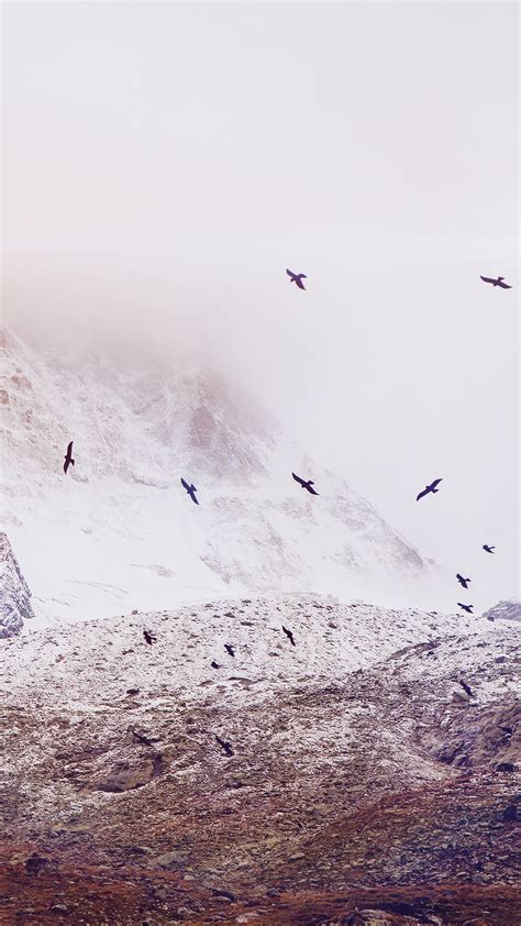 Vintage Snow Mountain Flying Birds Android Wallpaper Free