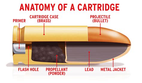 How Bullets Work My Gun Culture