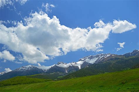 Green Meadow With Mountains In Background Stock Photo Image Of