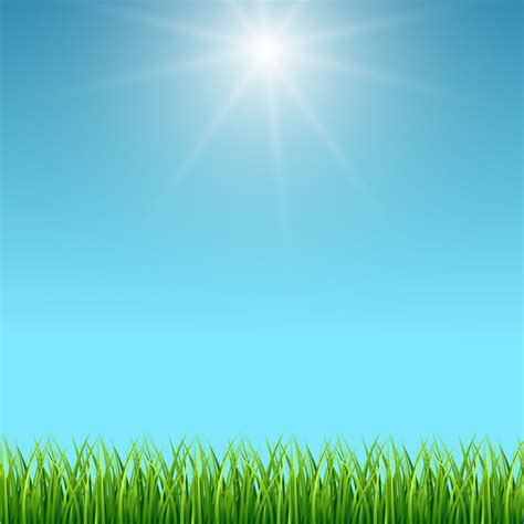 Clean Blue Sky And Green Grass Vector Background By Microvector