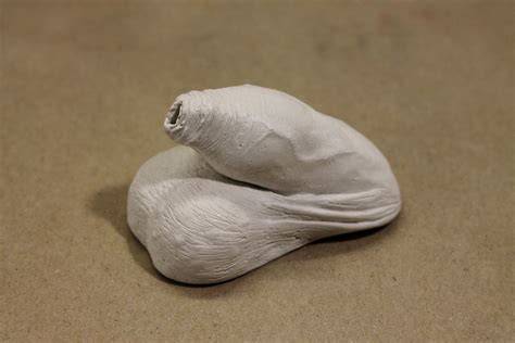 Flaccid Penis Erotic Art Plaster Cast Penis Sculpture Etsy