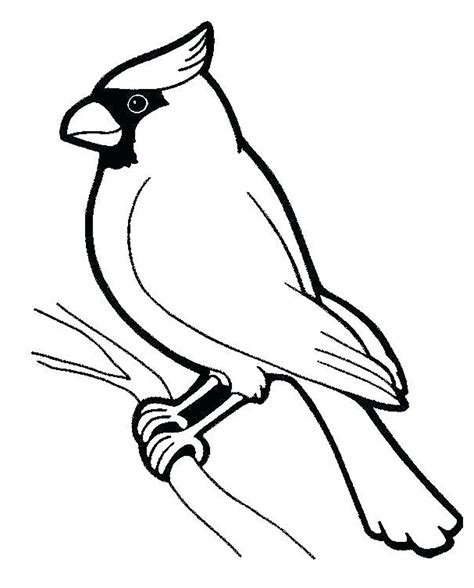 Oiseau perché  Coloriage d'Oiseaux pour enfants