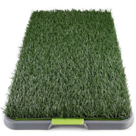 Can lawn seed be harmful to dogs? Puppy Training Pad Grass Potty Patch Mat