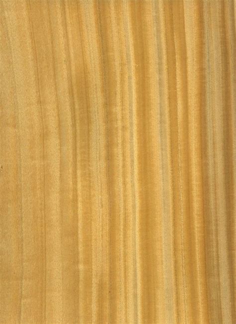 Veneer Catalog M Bohlke Corp Veneer And Lumber Veneers Wood