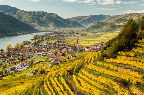 Weissenkirchen Wachau Austria In Autumn Colored Leaves And Vineyards On