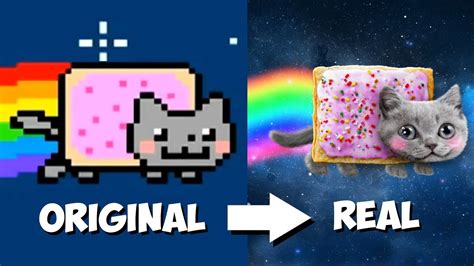 Creating A Real Life Nyan Cat The Ultimate Speed Edit Youtube