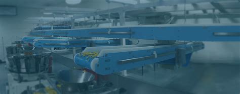 Dynamic Conveyor Dynacon Modular Conveyors Dynaclean Food Conveyors