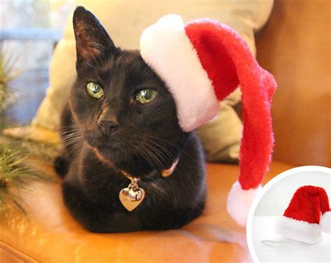Cat Santa Hat Christmas Pet Santa Hat Holiday Photo Prop Etsy