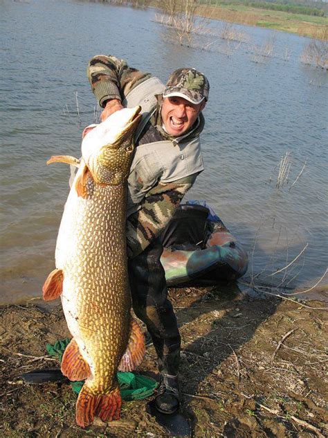 International Fishing News Italy World Record Size Pike Caught