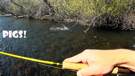 Lower Kings River Fishing Youtube