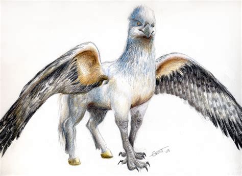 Mythical Creatures Hippogriff