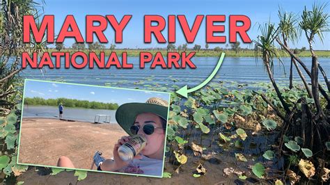 Explore The Mary River National Park Top 3 Must Dos Luke Mead 4x4