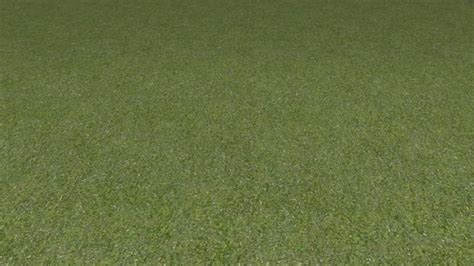 Large Preview Of 3d Model Of Grass Transparent Texture Layover Grass