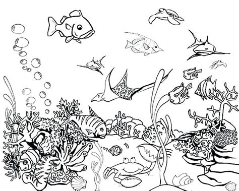Make a coloring book with fish tank printable for one click. Real Fish Coloring Pages at GetColorings.com | Free ...