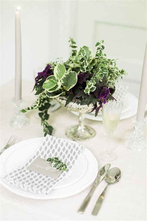 DIY Living Plant Centerpieces | Plant centerpieces, Wedding table centerpieces, Wedding centerpieces