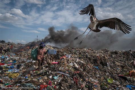 Fundación Greenpeace Argentina Inundamos al mundo de basura y ahora qué