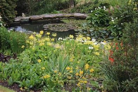 A plant might adapt to a cool and very wet fall season by going dormant earlier than normal. Plants for Wet Places, What to Plant in Wet Ground