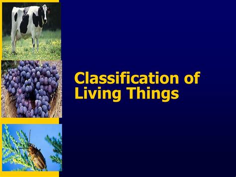 Ppt Classification Of Living Things Powerpoint Presentation Free