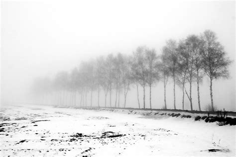 Free Images Hokkaido Biei Japan Natural Landscape Nature Sky