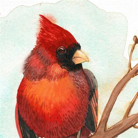 Red Cardinal Painting Original Watercolor Art Bird Artwork Etsy