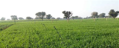 Pengkalan hulu freehold agriculture land for sale. Agriculture Land for Sale in Jaipur Rajasthan - Land Rate ...