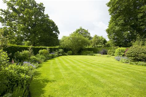 Tips For Growing A Green Lawn