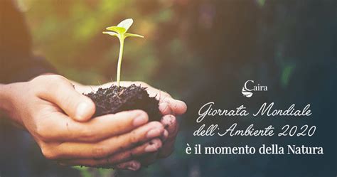 E non è finita qui. Giornata Mondiale dell'Ambiente 2020: l'importanza della ...