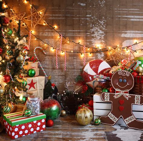 The Top 24 Ideas About Diy Christmas Photography Backdrop Home