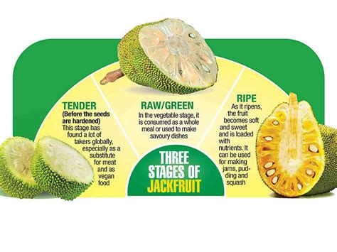 Jackfruit Kerala Jackfruit Jack Of All Traits Kochi News Times Of