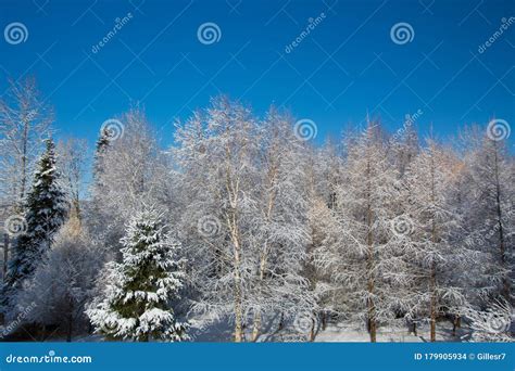 Winter Landscape In The Aftermath Of A Spring Snowfall Stock Photo