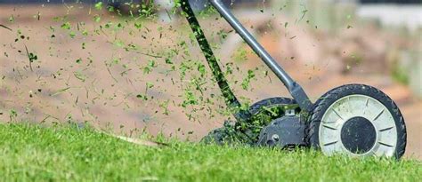 Is Hiring Lawn Care Services Worth It Find Out Here