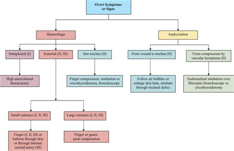 Neck Trauma 7th Ed