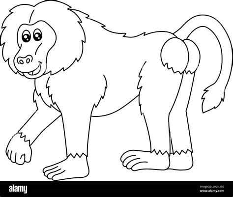 Baboon Coloring Page Isolated For Kids Stock Vector Image And Art Alamy