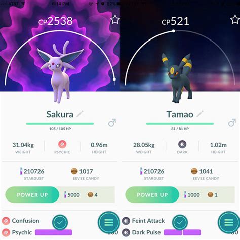 By naming your eevee something specific prior to evolving it, you can determine what it will become. Pokemon Go Gen 2 Tip: Evolve Eevee Into Espeon And Umbreon ...