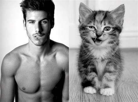 hilarious photos of sexy men and adorable cats in similar poses