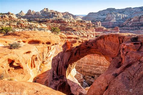 16 Epic Day Hikes In Capitol Reef National Park Earth Trekkers