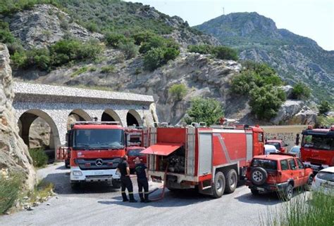 Maybe you would like to learn more about one of these? Forest Firefighters: Ιουλίου 2015