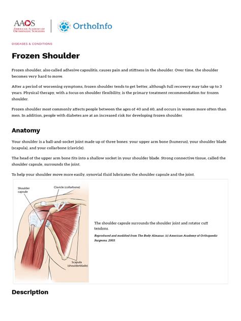 Frozen Shoulder Adhesive Capsulitis Orthoinfo Aaos Pdf