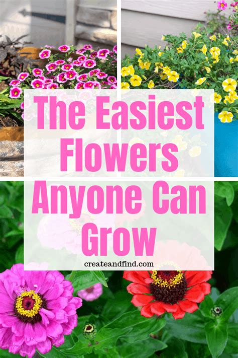 The Best Flowers To Grow In Your Garden Can Be Seen Here With Text