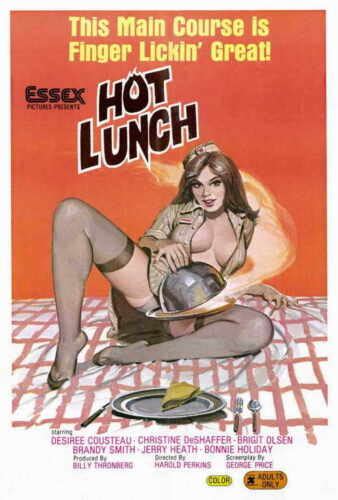 Hot Lunch Movie Poster 27x40 Desiree Cousteau Christine De Shaffer