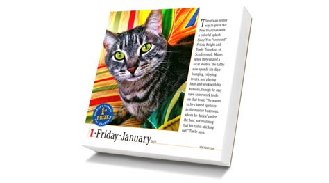 New 2021 Calendar Aims to Help Mother Earth - Gifts ...