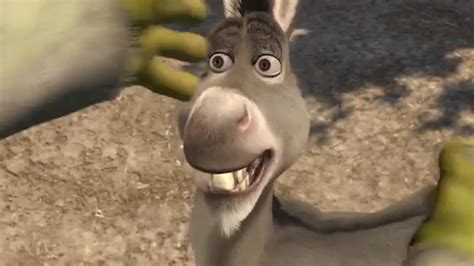 Donkey From Shrek Smiling