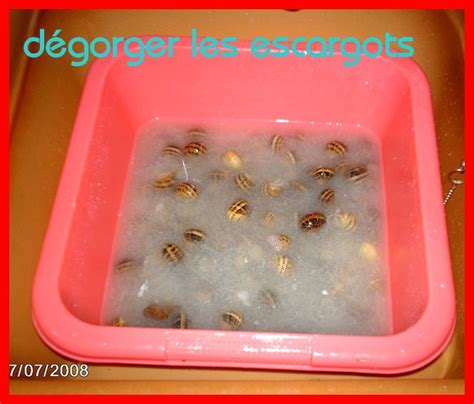 Faire Dégorger Des Escargots
